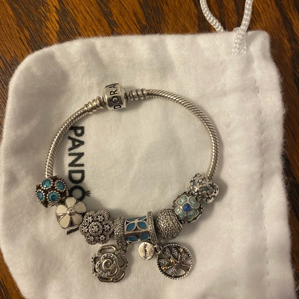 Pandora charm bracelet